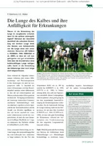 Die Lunge des Kalbes und ihre Anfälligkeit für Erkrankungen