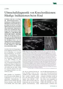 Ultraschalldiagnostik von Knochenläsionen: Häufige Indikationen beim Rind