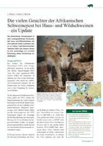 Die vielen Gesichter der Afrikanischen Schweinepest bei Haus- und Wildschweinen – ein Update