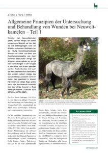 Allgemeine Prinzipien der Untersuchung und Behandlung von Wunden bei Neuweltkamelen – Teil 1