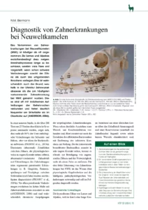 Diagnostik von Zahnerkrankungen bei Neuweltkamelen