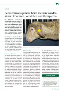 Schmerzmanagement beim kleinen Wiederkäuer: Erkennen, verstehen und therapieren