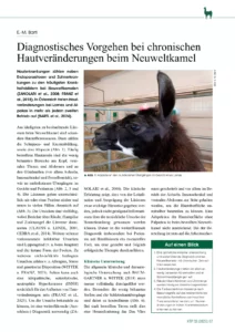 Diagnostisches Vorgehen bei chronischen Hautveränderungen beim Neuweltkamel