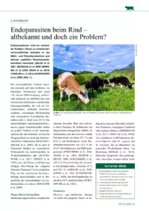 Endoparasiten beim Rind – altbekannt und doch ein Problem?