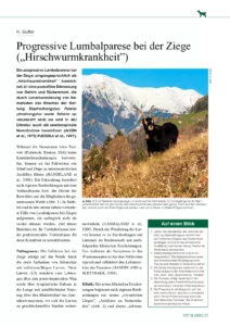 Progressive Lumbalparese bei der Ziege („Hirschwurmkrankheit”)