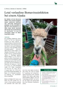 Letal verlaufene Bornavirusinfektion bei einem Alpaka