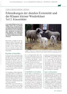Erkrankungen der distalen Extremität und der Klauen kleiner Wiederkäuer Teil 2: Klauenbäder