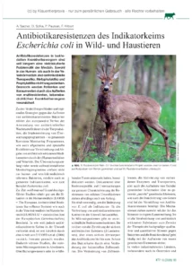 Antibiotikaresistenzen des Indikatorkeims Escherichia coli in Wild- und Haustieren