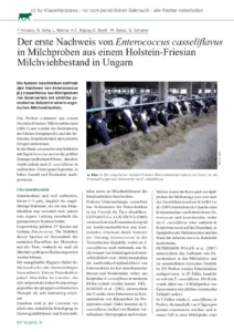Der erste Nachweis von Enterococcus casseli avus in Milchproben aus einem Holstein-Friesian Milchviehbestand in Ungarn