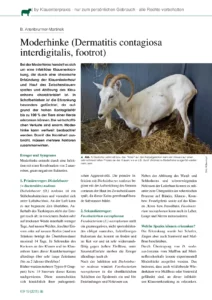 Moderhinke (Dermatitis contagiosa interdigitalis, footrot)