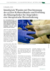 Interdigitale Wunden mit Durchtrennung des axialen Kollateralbandes und Eröffnung des Klauengelenkes bei Jungrindern – eine therapeutische Herausforderung