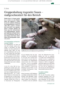 Gruppenhaltung tragender Sauen – maßgeschneidert für den Betrieb