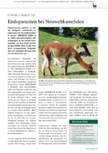 Endoparasiten bei Neuweltkameliden