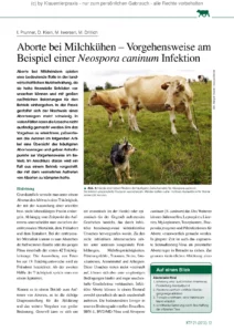 Aborte bei Milchkühen – Vorgehensweise am Beispiel einer Neospora caninum Infektion