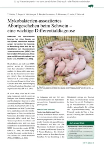 Mykobakterien-assoziiertes Abortgeschehen beim Schwein – eine wichtige Differentialdiagnose