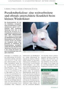 KTP 3 2014 Sodoma db