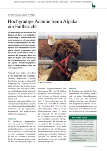 Hochgradige Anämie beim Alpaka: ein Fallbericht