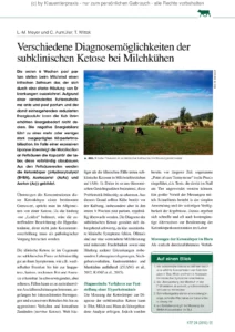 Verschiedene Diagnosemöglichkeiten der subklinischen Ketose bei Milchkühen