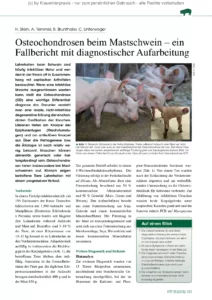 Osteochondrosen beim Mastschwein – ein Fallbericht mit diagnostischer Aufarbeitung