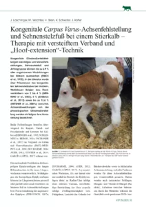 Kongenitale Carpus Varus-Achsenfehlstellung und Sehnenstelzfuß bei einem Stierkalb – Therapie mit versteiftem Verband und „Hoof-extension”-Technik