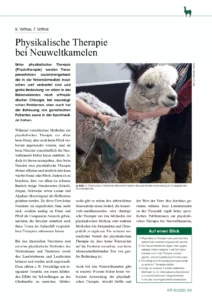 Physikalische Therapie bei Neuweltkamelen