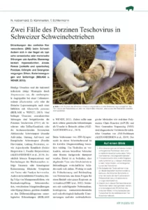 Zwei Fälle des Porzinen Teschovirus in Schweizer Schweinebetrieben