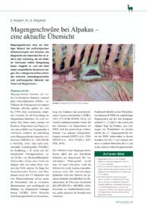 Magengeschwüre bei Alpakas – eine aktuelle Übersicht
