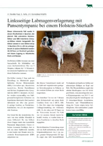 Linksseitige Labmagenverlagerung mit Pansentympanie bei einem Holstein-Stierkalb