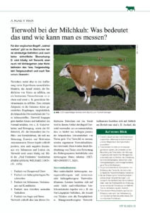 Tierwohl bei der Milchkuh: Was bedeutet das und wie kann man es messen?