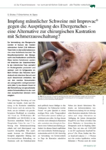 Impfung männlicher Schweine mit Improvac gegen die Ausprägung des Ebergeruches – eine Alternative zur chirurgischen Kastration mit Schmerzausschaltung?
