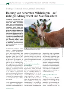 Haltung von behornten Milchziegen – auf richtiges Management und Stallbau achten