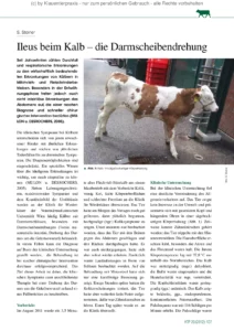 Ileus beim Kalb – die Darmscheibendrehung
