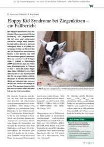 Floppy Kid Syndrome bei Ziegenkitzen – ein Fallbericht