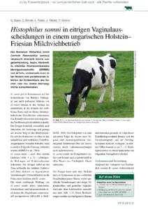 Histophilus somni in eitrigen Vaginalausscheidungen in einem ungarischen Holstein– Friesian Milchviehbetrieb