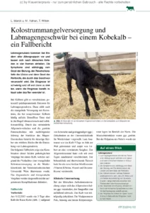 Kolostrummangelversorgung und Labmagengeschwür bei einem Kobekalb – ein Fallbericht