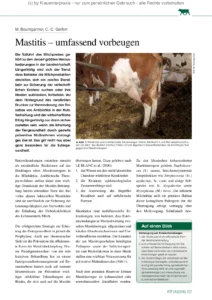 Mastitis – umfassend vorbeugen