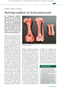 Skelettgesundheit im Schweinebestand