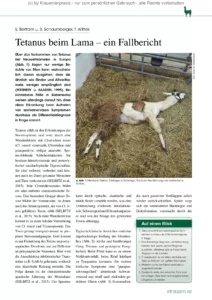 Tetanus beim Lama – ein Fallbericht