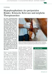 Hypophosphatämie des peripartalen Rindes: Klinische Relevanz und mögliche Therapieansätze