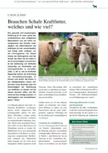 Brauchen Schafe Kraftfutter, welches und wie viel?