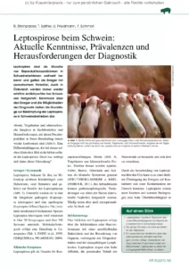 Leptospirose beim Schwein: Aktuelle Kenntnisse, Prävalenzen und Herausforderungen der Diagnostik
