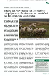 Effekte der Anwendung von Trockenbierhefepräparaten (Saccharomyces cerevisiae) bei der Ernährung von Schafen