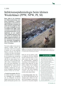 Infektionsepidemiologie beim kleinen Wiederkäuer