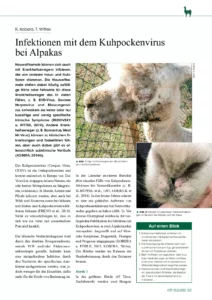 Infektionen mit dem Kuhpockenvirus bei Alpakas