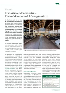 Erstlaktierendenmastitis – Risikofaktoren und Lösungsansätze