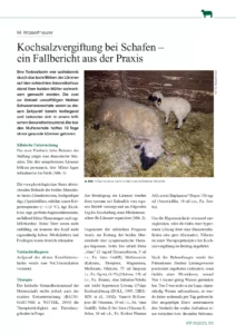 Kochsalzvergiftung bei Schafen – ein Fallbericht aus der Praxis