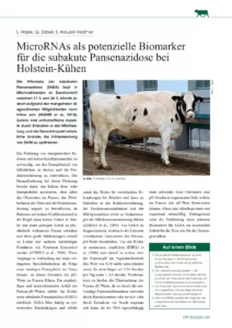 MicroRNAs als potenzielle Biomarker für die subakute Pansenazidose bei Holstein- Kühen