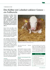 Junge Kälber mit Lahmheit unklarer Genese – ein Fallbericht