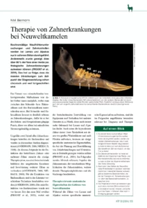 Therapie von Zahnerkrankungen bei Neuweltkamelen