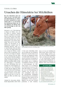 Ursachen der Hämolaktie bei Milchkühen